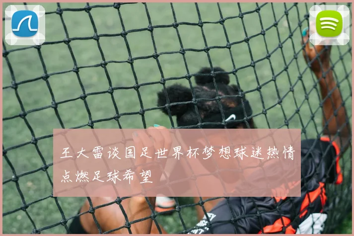 王大雷谈国足世界杯梦想球迷热情点燃足球希望