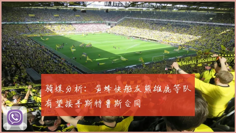 骑媒分析：黄蜂快船灰熊雄鹿等队有望接手斯特鲁斯合同